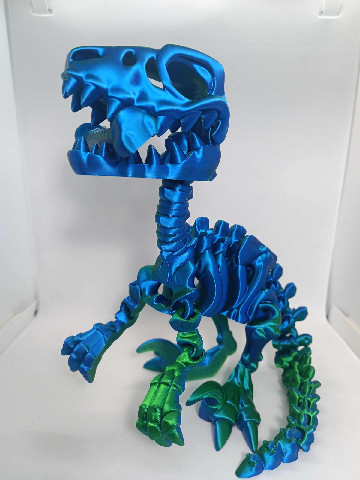 T-REX esqueleto